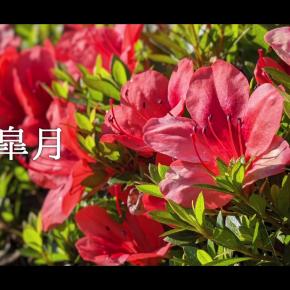 mp4の容量圧縮にFilmoraを使ってみた感想