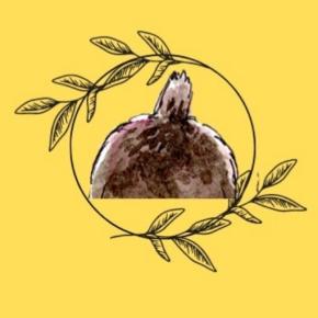 いたずらわんちゃんの対処法。