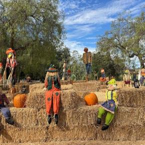 Happy Halloweenは季節の変わり目。