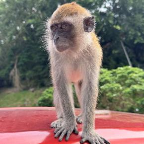 友人を見送って。