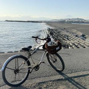 モアナ (+今年最後の検診、ポカポカ陽気の相模川河口と柳島海岸、アンチノール)