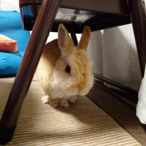 マイペースに…。