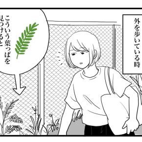 おじぎ草