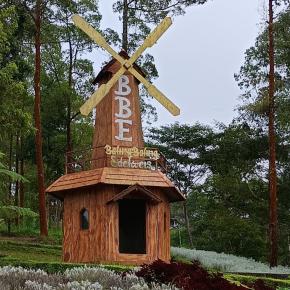 今年最後のお出かけ