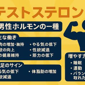【男性必見】テストステロンとは？効果・不足のサイン・増やす方法を徹底解説！