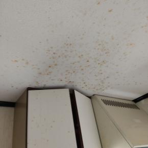 今年2番目に最悪なことが起きた