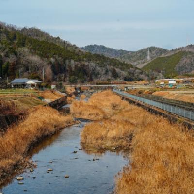 早くもお正月が終わった気分です