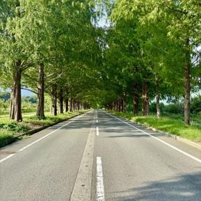 久し振りのカブツー・滋賀③