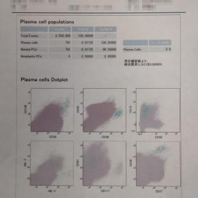 4回目骨髄穿刺の結果