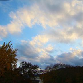 喪中はがきを見て思う