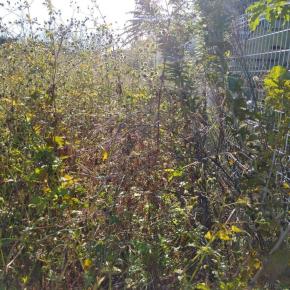 今日は休日出勤しました！