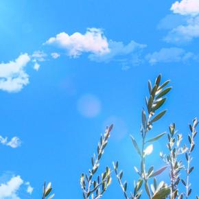 スーパービジョンを受けたい方へ。ピアスーパービジョンのすすめ