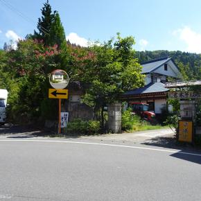 酷暑でしたが今年の葡萄の出来は？（ぶどう編）