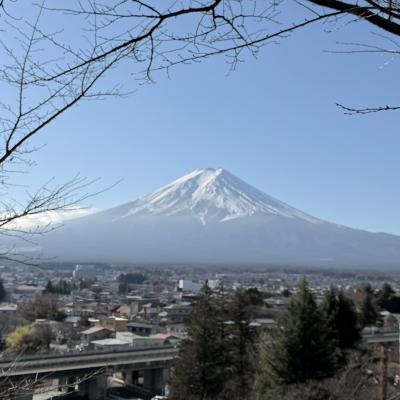【実体験】車で行く富士山絶景・グルメを遊び尽くす1泊2日モデルコース