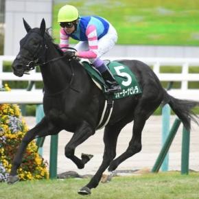 私、馬女（UMAJO)です。【函館スプリントS2023予想】