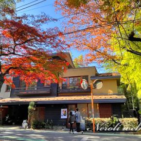 がっかり・・・「老人性」だって