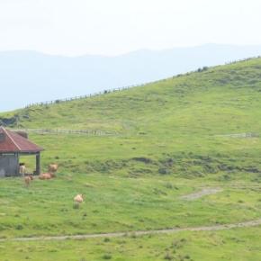 《熊本県南阿蘇》Blue Bee Garden2泊3日〜その②