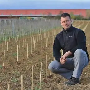 ムルソー村でシラー種を新植 地球温暖化最前線