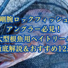 【2022年】ハードロックフィッシュ用ベイトリールおすすめ8選！ダイワ、シマノ、その他の名機もご紹介