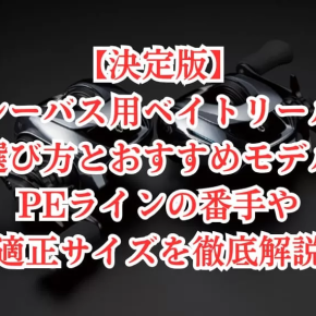 【決定版】シーバス用ベイトリールの選び方とおすすめモデル！PEラインの番手や適正サイズを徹底解説