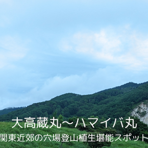 関東近郊の穴場登山。大高蔵丸～ハマイバ丸～初心者も楽しめる高山植物～