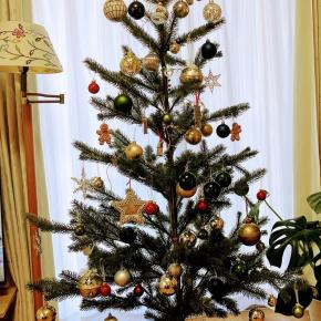 クリスマスツリーを飾る