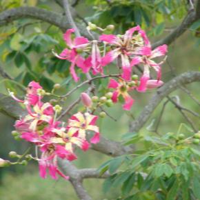 口から出た言葉は・・・