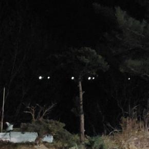 地震によるストレスかと・・(・_・;)