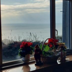 年末って感じる 。。( ´艸｀)