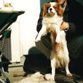 わんわんあるある