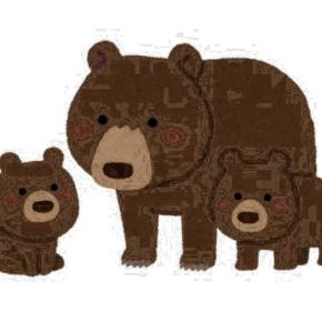 人間vs熊：このくらいの感覚じゃないと