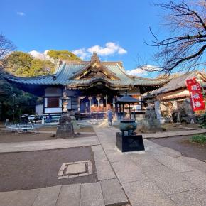 新年リハビリ森ウォーキング