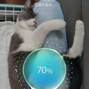 🐱師走待受🐱