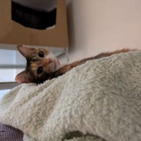 今週の捨て活（2025.6.9~6.14）