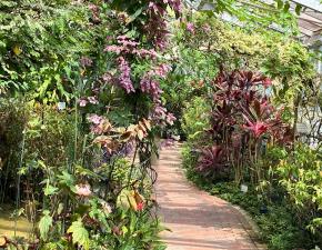暑いから温室で涼もう ～鞍ヶ池公園～