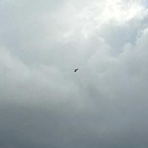 東急電鉄 田園都市線で車輌接触事故 折り返し運転らしい