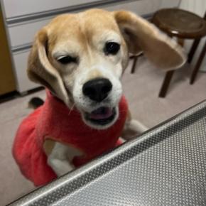 食べ過ぎた＆ママごんとライブに行ってきました