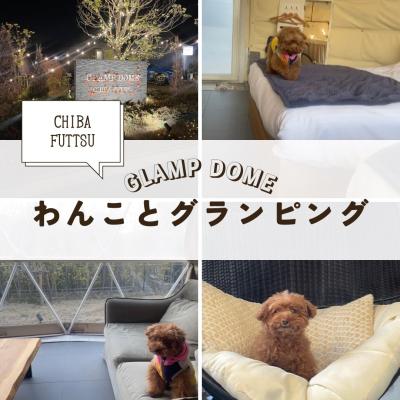 わんこと一緒にグランピング♪
