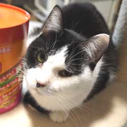 平●千●様!御支援ありがとうございました！