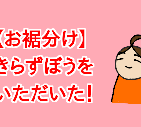 【お裾分け】きらずぼうをいただいた！
