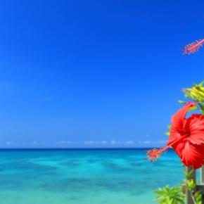 沖縄を遊びつくそう！笑顔あふれる沖縄旅行はこれだけ抑えたら大丈夫さ