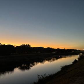 気づくと驚くけれど、気づかないと平気でいられる。