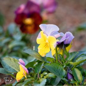 ちょびっとビックリしましたょ～。