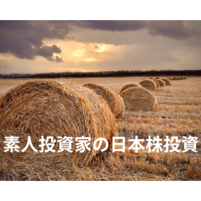 【2025年11月運用報告】日経平均・TOPIX・ひふみ・さわかみをベンチマークした結果