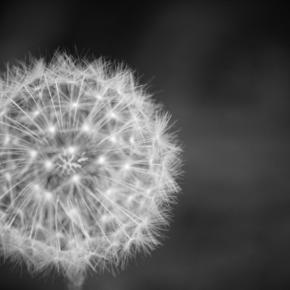 改訂版 はてなブログでサイドバーに祝日・二十四節気・雑節を表示