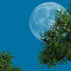 ～もう今年中は難しいかも知れません(Twitter(X)あり)～