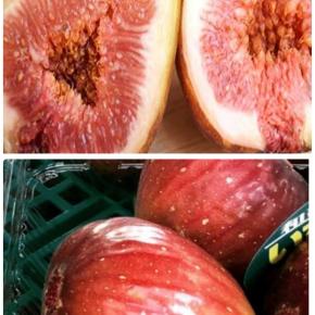 イチジクを買うなんて考えもしなかった