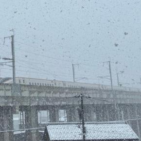 ストレスの元が舞ってくる〜❄️