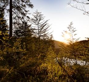 不登校の次男と小学校の修了式を隠れながら参加したお話