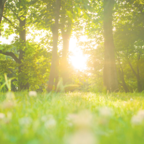 （その18）浄化を続けて、既婚彼との関係に区切りが付いた・・・そして人生は新たに動き出した